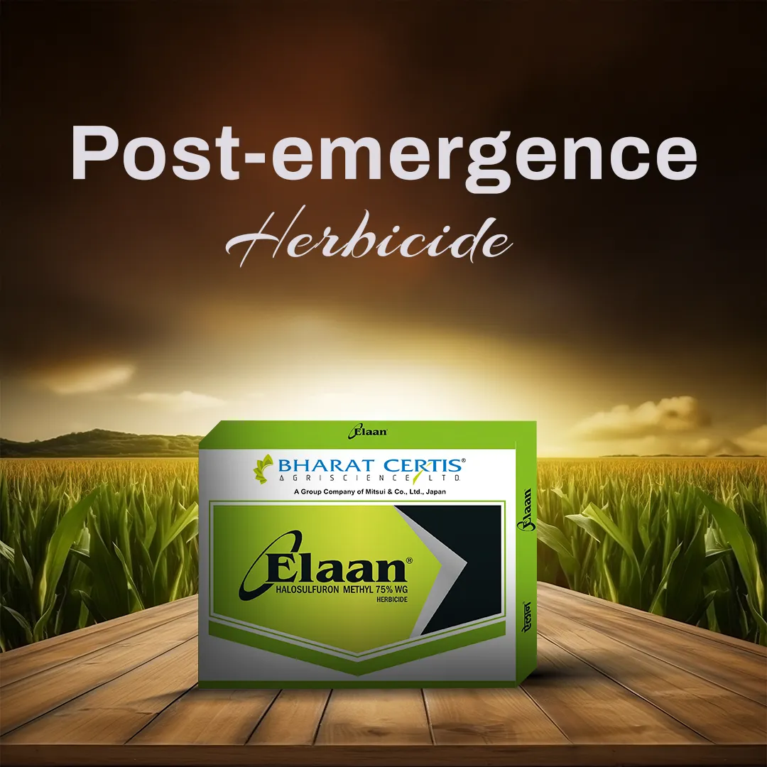 Weed Control in Sugarcane and Maize